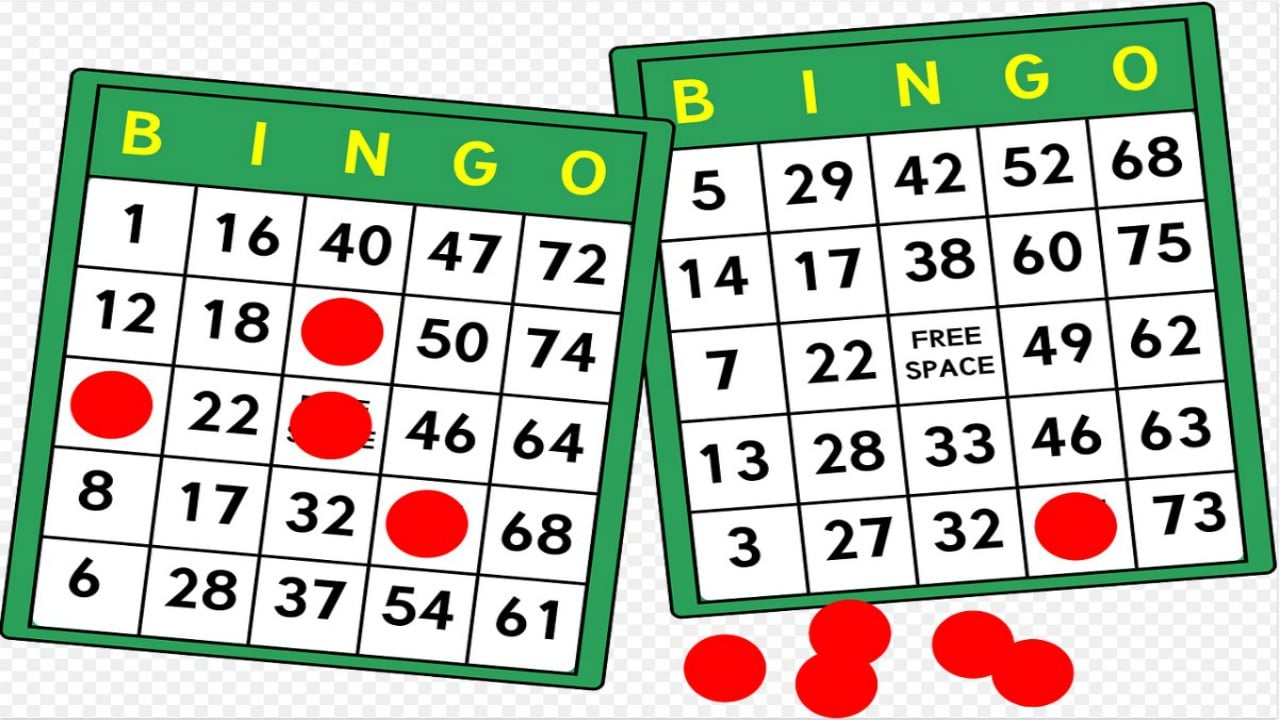 Bingo Gewinnzahlen