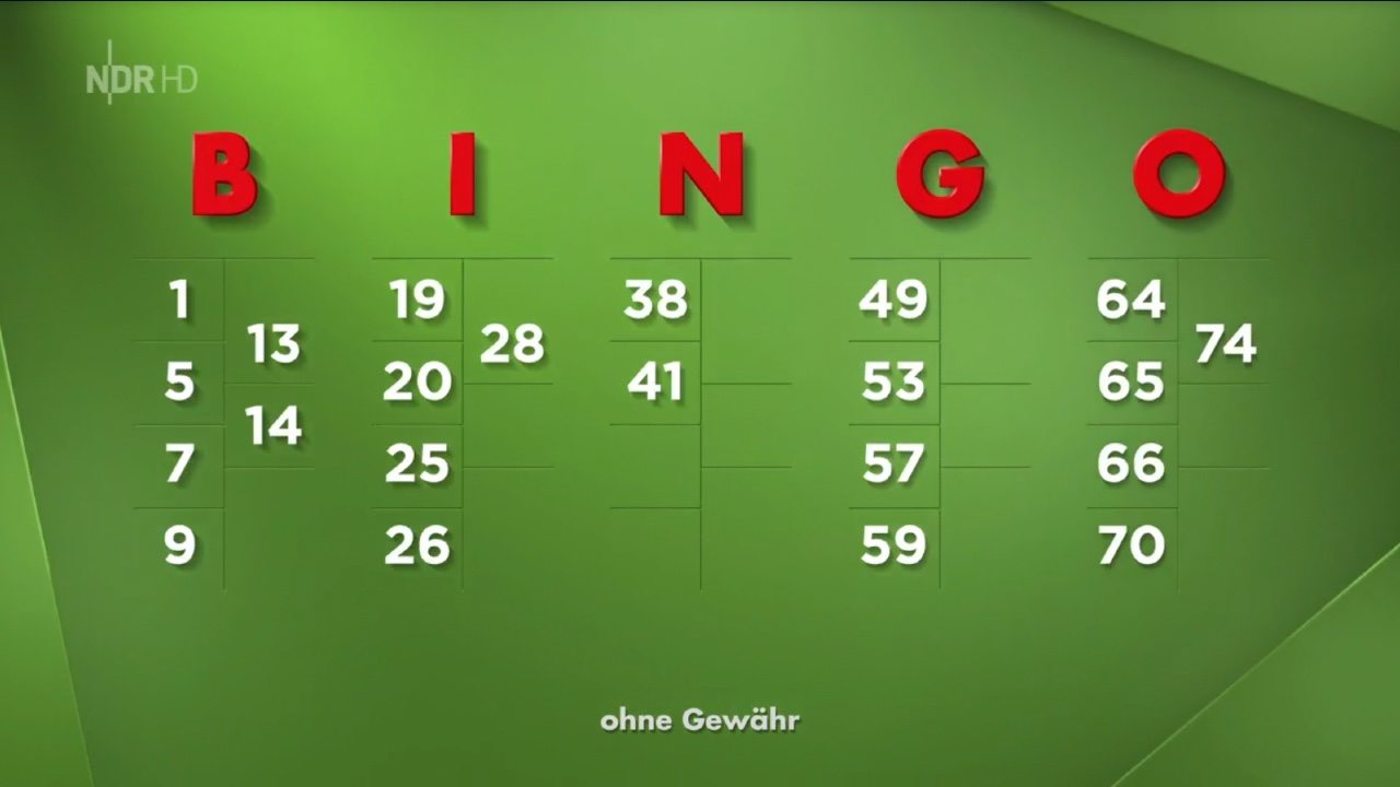 Bingo Gewinn